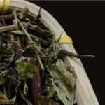 猫须草痛风患者正确服用方法 猫须草的副作用