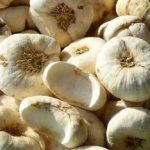 土贝母的功效和作用 2021土贝母的十大功效