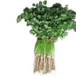 香菜的用法用量 香菜的用量是多少克