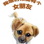 灯具店老板什么意思？ 极品单身狗了解一下