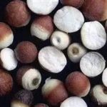 芡实怎么吃效果最好-芡实怎么吃