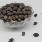 苦石莲的功效与作用禁忌 苦石莲的禁忌2021