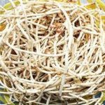 鱼腥草的禁忌 鱼腥草的禁忌人群