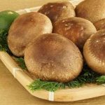 香菇的禁忌有哪些 香菇的禁忌