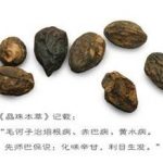 毛河子的食用方法 毛河子的用法用量