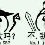 网络流行语科普 你制杖吗？不，我贩剑什么意思？