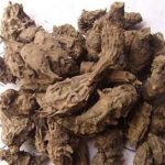 川乌头和川乌区别 哪个更好呢