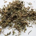 蒲公英的禁忌2021 蒲公英的适用人群