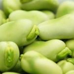 蚕豆的功效和作用2021 蚕豆的功效和作用及禁忌