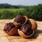 龙眼肉的功效和作用 龙眼肉泡水的好处