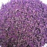 紫梢花的功效与禁忌 紫梢花的禁忌2021