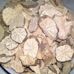 木防己的功效与作用2021 木防己有什么功效