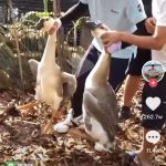 进货式钓鱼什么意思？ 一头雾水的你进来涨涨姿势