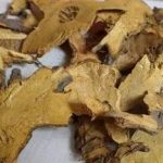 虎杖的应用鉴别2021 虎杖的食用方法