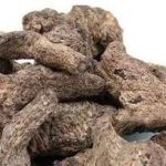 地黄的禁忌是什么 吃地黄的禁忌