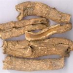 香加皮是什么 什么人群不适合吃香加皮