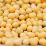 大豆的营养价值2021 大豆的食疗作用