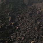 花卉养殖小课堂 多肉施肥用什么肥料？