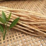 沙参有什么作用于功效 沙参的功效与作用