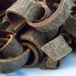 厚朴的功效和作用2021 厚朴的禁忌