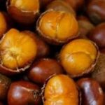 板栗的功效和作用2021 板栗的禁忌