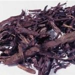 紫草的功效和作用2021 紫草的禁忌