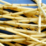 白茅根的食用方法和功效 白茅根的副作用