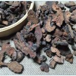 拳参的附方 拳参的禁忌事项