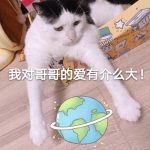 剧抛型追星什么意思？ 追一部剧换一波明星追的追星方式了解一下