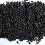 女贞子的功效和作用 女贞子的服用方法