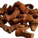 高良姜有什么药用价值2021 高良姜的主治