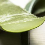 哪些多肉可以吃？ 可以吃的多肉植物了解一下