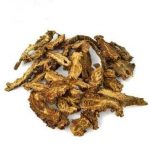 羌活是非有补肾的功效 羌活的主治