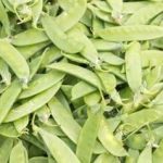 扁豆有什么禁忌 扁豆的禁忌