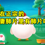 ―般来说现在正宗的夫妻肺片里有肺片吗 正常买的熟菜里面的是肺片吗