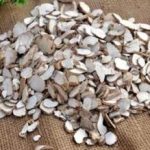 白芷的用法用量 白芷该怎么用