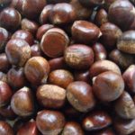 新鲜板栗怎么保存不会坏？教你6种方法长久保存