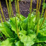 什么是睡眠障碍 盘点5个表现