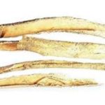 柘木白皮功效与作用 柘木白皮功效与作用2021详解