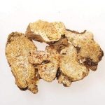 苍术的作用 苍术的药理效果