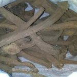 紫梢花有什么功效 紫梢花的功效与作用