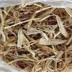 六月寒的功效与作用 六月寒的功效是什么