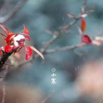 大寒和小寒哪个节气时更冷？小寒时养生有哪些讲究？