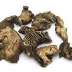 升麻的作用和功效 升麻的使用方法