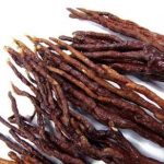 灵芝草有什么作用 灵芝草的功效与作用