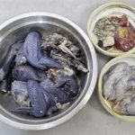 乌鸡肉的食用方法有哪些 乌鸡肉的食用方法