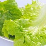 生菜有哪些功效与作用 生菜的功效与作用