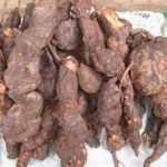 何首乌的禁忌与作用 何首乌的禁忌