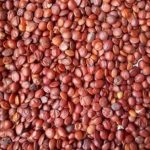 酸枣仁多少钱一斤 怎么鉴别酸枣仁的好坏