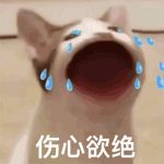 发疯文学是什么梗？发疯文学文案怎么写？发疯文学文案催发货分享